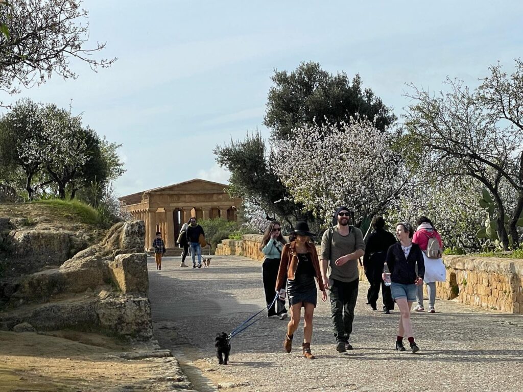 valle-dei-templi-agrigento